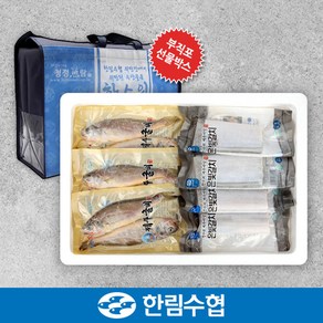 [수산대전20%쿠폰][제주 한림수협] 제주 은갈치210gx3팩+굴비700g(10미)x2팩+부직포, 단일속성, 1개