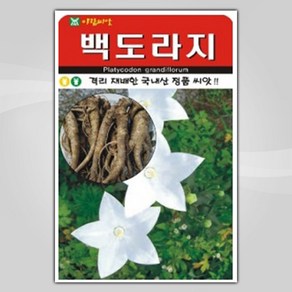 슬로시 약초 씨앗 일당귀 율무 인삼 종자 황기 감초, 1개