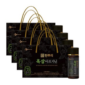 와이지유통 CJ웰케어 한뿌리 흑삼아르기닌 100ml*10병 x 4개, 와이지유통 CJ웰케어 한뿌리 흑삼아르기닌 100ml*1