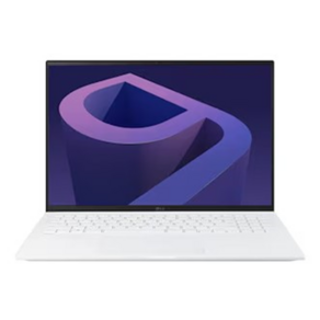 LG그램 17Z90Q i7 16GB 1TB 지포스 RTX2050 17인치 영상편집 노트북, 17ZD90Q-EX76K, WIN11 Home, 화이트