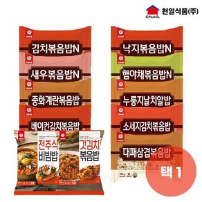 천일식품 볶음밥 250g 단품 골라담기, 낙지볶음밥 250g, 1개