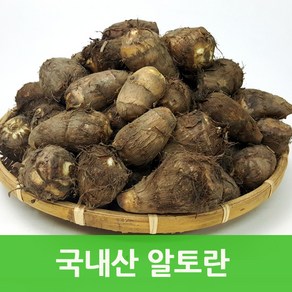 국내산 토란10kg 알토란 웰빙푸드 싱싱지오