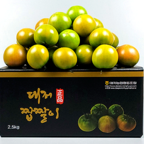 [ 통통마토 ] 백화점에도 귀한 정품 짭짤이 대저농협인증 로얄과 부산 대저 짭짤이 토마토 1kg 2.5kg, 1개, 대저농협 정품 짭짤이 로얄과  1kg