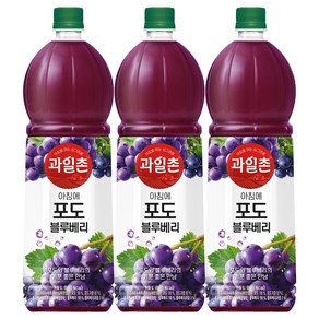 과일촌 아침에 포도블루베리 1.5L, 4개