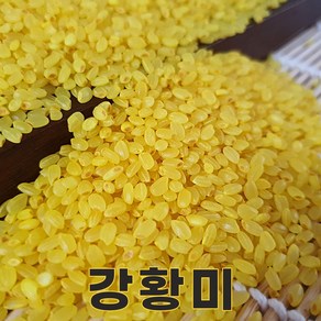 밥보야 23년산 강황쌀 2kg 강황미 색깔쌀 컬러쌀