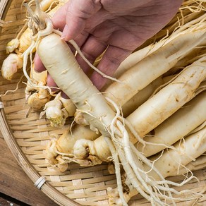 금산인삼 세척 한뿌리 (개별진공포장) 70g 5년근 삼계탕 씻은 바로먹는삼 수삼 난발삼 인삼차 국산 국내산, 1개