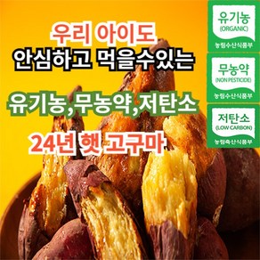 [믿고먹는유기농] 친환경 무안 유기농 베니하루카 꿀고구마 퍽퍽한 밤 호박 고구마 3kg 5kg 10kg 한입 중 상 대, 1개, 3kg 중