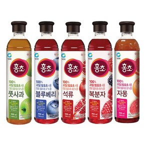 청정원 홍초 900ml 석류 복분자 블루베리 풋사과 자몽 5종 세트