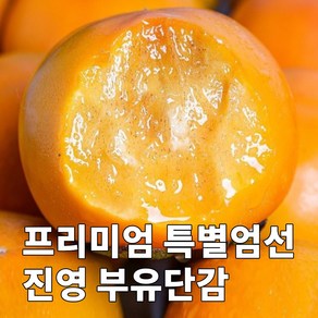 [백화점Vip용] 프리미엄 달콤가득 과즙폭발 진영 부유단감