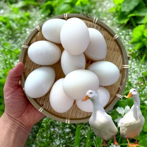 국내산 The 건강한 오리알 15구, 1350g, 1세트