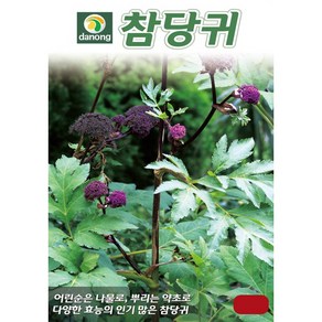 (씨앗) 참당귀 - 뿌리당귀 - 약용 당귀 씨앗 종자 - 소포장 1g, 1개