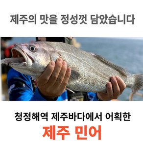 [제주어부] 100% 제주 민어 특대 <한정특가>, 6마리(2,400g이상), 1개