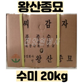 씨감자(수미) 20kg - 왕산종묘 정품 - 품질보증 - 강원도 채종 - 2025년 파종용 -, 1개