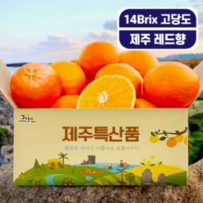 [ 1/27도착보장 ] 최고당도 제주 레드향 청정제주 레드향, 1박스, 2kg