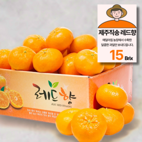 15bix 당도선별 제주 레드향 가정용, 1박스, 5kg(25과 내외)