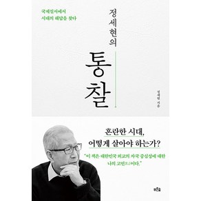 정세현의 통찰 / 푸른숲