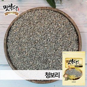 맛봉달 24년 청보리 녹색보리 청색보리 청보리쌀 청맥 찰보리 국내산