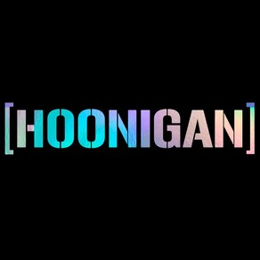 HOONIGAN 자동차 포인트 스티커