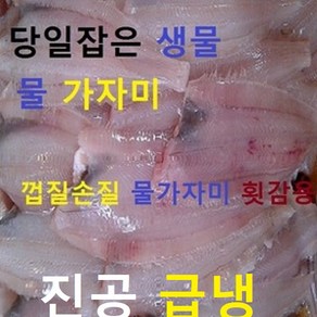 (쌍다리상회)물가자미 껍질손질 세꼬시 횟감 5kg 1kg씩 진공, 1kg, 5개