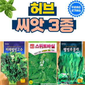 허브씨앗 3종 스위트 바질 루꼴라 고수 씨앗 허브 키우기 종자, 1개