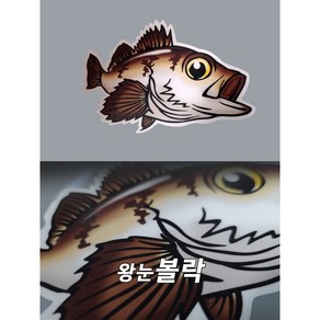 낚시스티커 왕눈볼락 볼락스티커, 1개