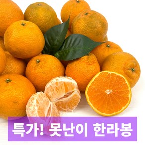 일등농수산 산지직송 제주도 못난이 한라봉 혼합과, 1개, 2kg(소-중 혼합)