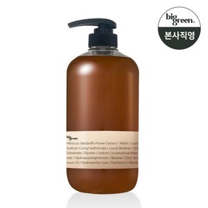 빅그린 데일리 비건샴푸 히비스커스 1000ml, 1L, 1개