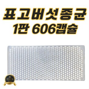 표고버섯종균(1판 606개 접종형) 느타리 표고 성형 버섯 종균 텃밭 주말농장 캡슐형 친환경마켓, 1개, 500g