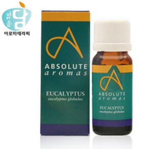 앱솔루트 에센셜오일 유칼립투스 글로블루스 10ml/30ml/100ml, 100ml, 1개