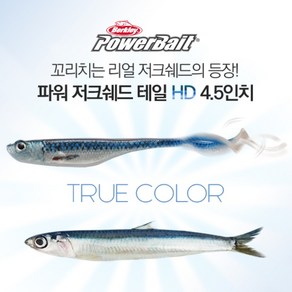 버클리 파워 저크쉐드 테일 HD 4.5인치 광어 다운샷 웜 베이트, HDRBT HD 4.5 레인보우 트라우트, 옵션선택