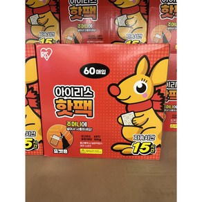 아이리스 포켓핫팩 100g 60매입 코스트코 대용량 핫팩, 1세트