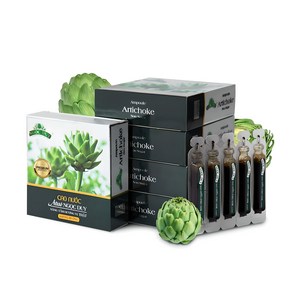녹두이 아티초크 베트남 앰플 5박스(50개입) 설탕무첨가, 10ml, 50개