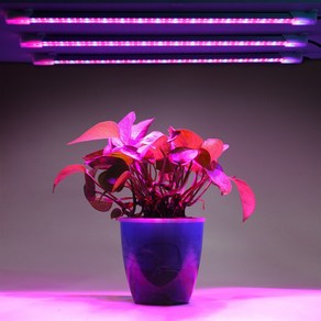LED 스틱형 식물등 식물성장 생장 재배 조명 램프 전구 난초 다육이 수경, 01_1헤드, 1개