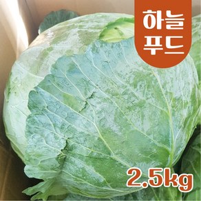 (2.5kg) 수입 양배추 식자재 한통 [원산지:중국]