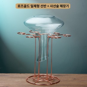 와인잔 걸이 렉 홈바 레스토랑 거치대 와인 디켄더 브래킷, 16.로즈골드 일체형 프레임  사선 와인 디켄터, 1개