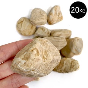 마이플랜트 목문석 20kg 대포장, 목문석 5호(20~25mm) 20kg, 1개