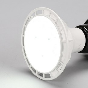 화이트 15W 60Hz E26 PAR30 LED 주광색 집중 스포트 LED 6500k, 1개