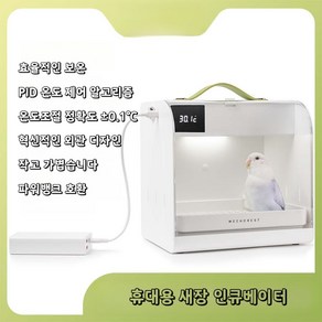 온도조절 인큐베이터 앵무새이동장 투명한 새집, 20W 그린베이직, 1개