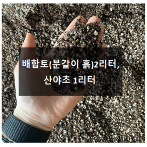 둥가다육 다육이 분갈이 흙 다육식물 배합토 산야초, 02.산야초 1리터, 1개, 2L