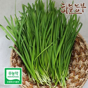 하늘농부 친환경 부추 120g, 1개