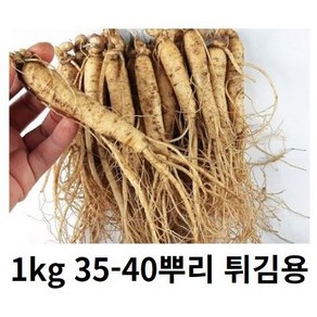 인삼 튀김용인삼 인삼 1kg 35-40뿌리 세척 금산인삼 5년근 6년근 못난이인삼 삼계탕인삼 인삼튀김용 인삼튀김