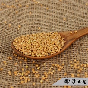 건강알곡 백기장 500g 앵무새 햄스터 모이 간식 사료, 1개