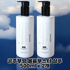 가히 공주부양 샴푸 볼륨 부스터 샴푸 500ml 2개