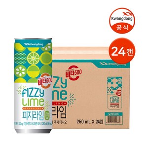 광동 비타500 피지라임 250ml 24캔 / 블렌딩 스파클링 음료 탄산음료 비타음료, 24개