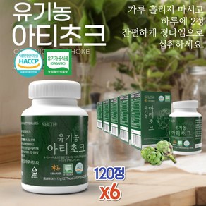 건강하셩 식약처 haccp 인증 유기농 아티초크 베트남 아닌 프랑스산 ARTICHOKE 시나린 아가베 120정 x6, 6개