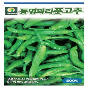 동명꽈리풋고추 50립 풋고추씨앗 종자 다농영미의정원, 1개