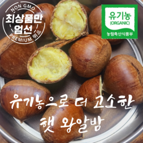 부여 햇 알밤 유기농 더 고소한 왕알밤 2kg