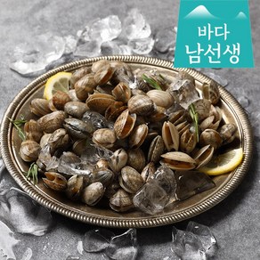 바지락 조개 캠핑조개 해산물 500g 피바지락, 1개