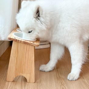 대형견 밥그릇 강아지 식탁 애견 고양이 수반 오일코팅 식기 2구, 대형견 오일코팅 식기 1구, 24cm, 1개