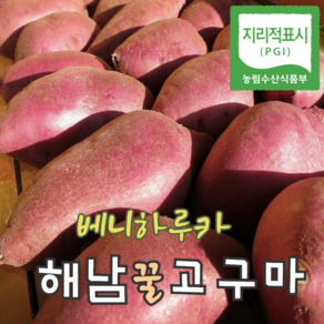 [팜&팜] 고구마 해남 중상 밤 꿀 호박 배니하루카, 1박스, 3kg 중상